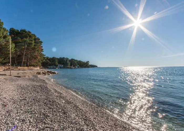 In With 1 Bedroom Будинок відпочинку *